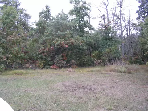 3224 E M-72, Grayling, MI 49738 photo 18
