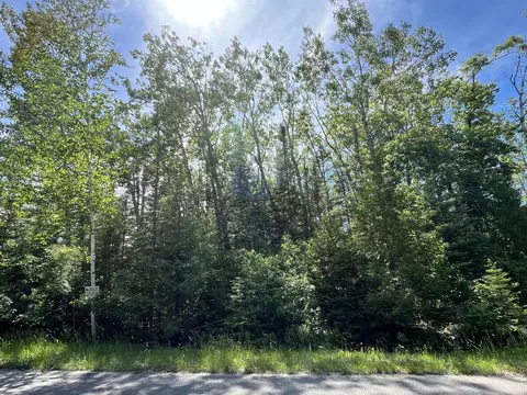 lot217 Shoreham Ct, Presque Isle, MI 49777