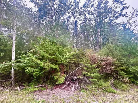 lot217 Shoreham Ct, Presque Isle, MI 49777
