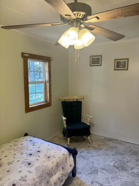 52 E Cherry Creek Rd, Mio, MI 48647 photo 13