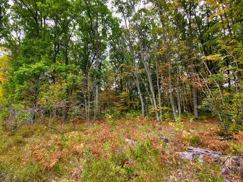 L 335-336 N Reserve Road #S 335-336, Roscommon, MI 48653