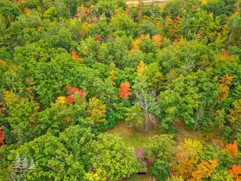 View/Area - 1811 Fish Lab Rd, Lewiston, MI 49756 photo 5 of 6