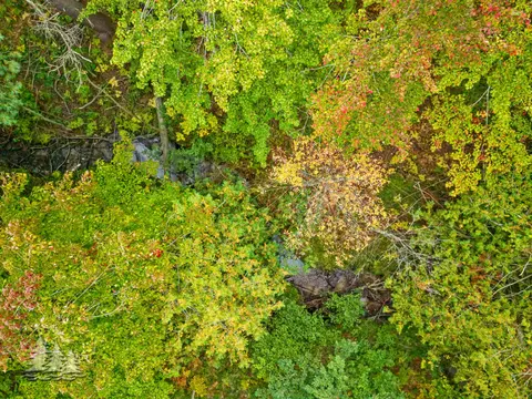 View/Area - 1811 Fish Lab Rd, Lewiston, MI 49756 photo 1 of 6