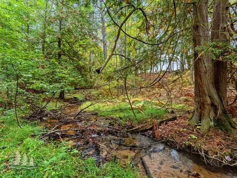 Other - 1811 Fish Lab Rd, Lewiston, MI 49756 photo 1 of 3