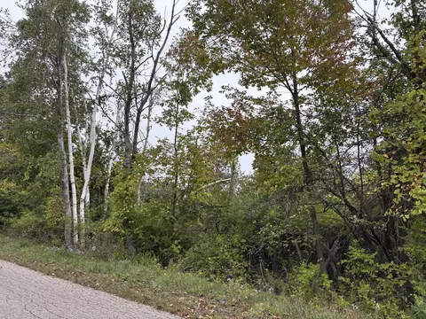 V/L 40+-AC Quade Highway #40 +/- ACRES, Rogers City, MI 49779