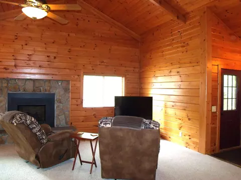 Living - 7473 Brudy Ln, Wolverine, MI 49799 photo 2 of 5