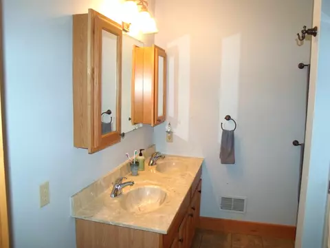 Bath - 7473 Brudy Ln, Wolverine, MI 49799 photo 2 of 4