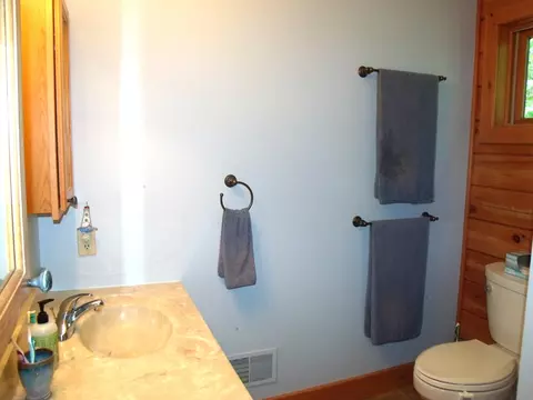 Bath - 7473 Brudy Ln, Wolverine, MI 49799 photo 3 of 4