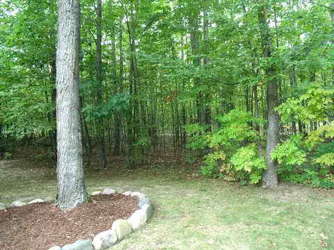 Exterior - 7473 Brudy Ln, Wolverine, MI 49799 photo 19 of 21