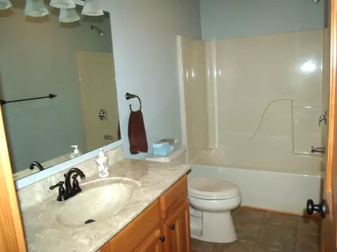 Bath - 7473 Brudy Ln, Wolverine, MI 49799 photo 4 of 4