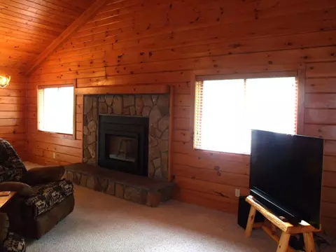 Living - 7473 Brudy Ln, Wolverine, MI 49799 photo 4 of 5