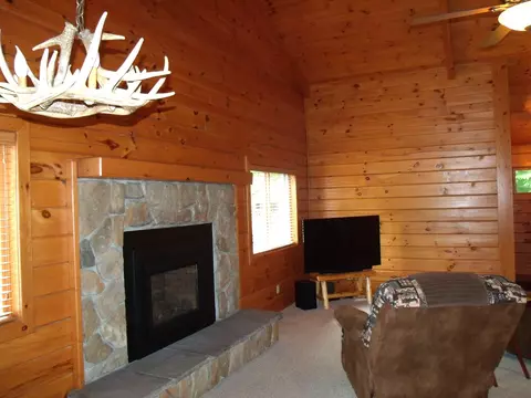 Living - 7473 Brudy Ln, Wolverine, MI 49799 photo 3 of 5
