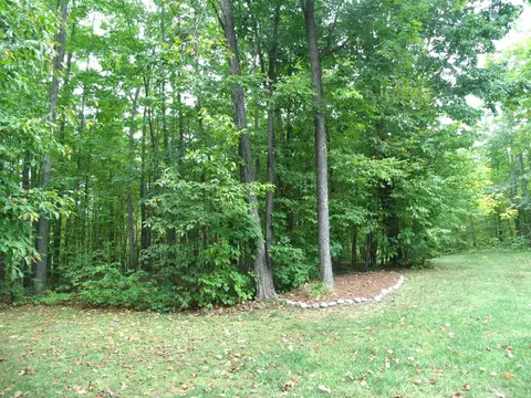 Exterior - 7473 Brudy Ln, Wolverine, MI 49799 photo 20 of 21