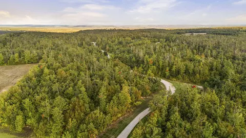 View/Area - 6530 Pyke School Rd, Vanderbilt, MI 49795 photo 6 of 8