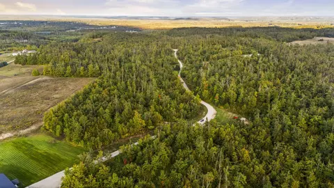 View/Area - 6530 Pyke School Rd, Vanderbilt, MI 49795 photo 7 of 8
