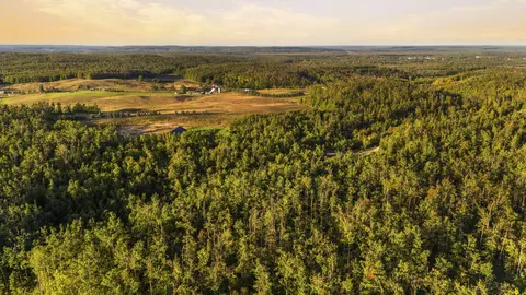 View/Area - 6530 Pyke School Rd, Vanderbilt, MI 49795 photo 3 of 8