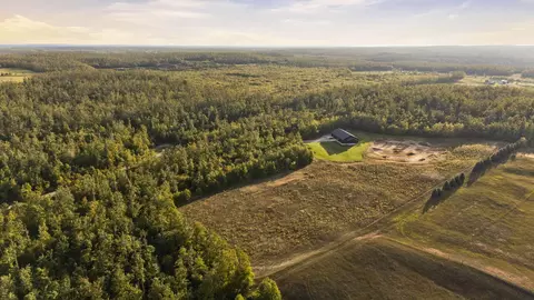 View/Area - 6530 Pyke School Rd, Vanderbilt, MI 49795 photo 1 of 8