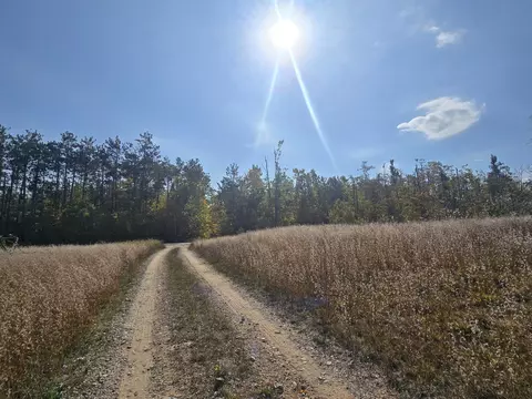 finnegan road, Johannesburg, MI 49751