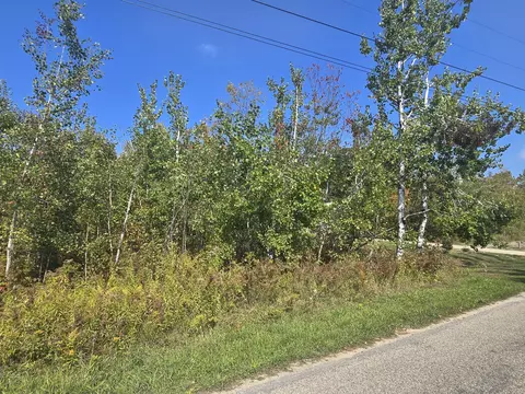 V/l Birchdale Drive, Johannesburg, MI 49751