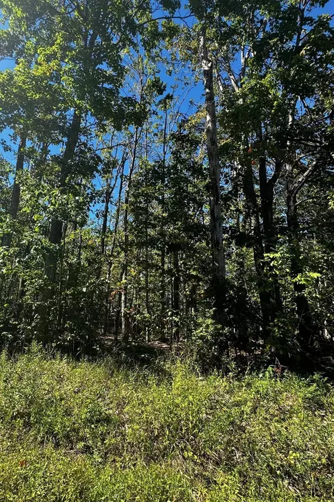 lot40 Lake Club Dr W, Gaylord, MI 49735
