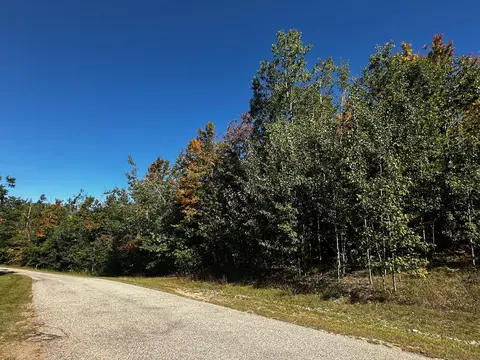 lot2 Lake Club Dr, Gaylord, MI 49735
