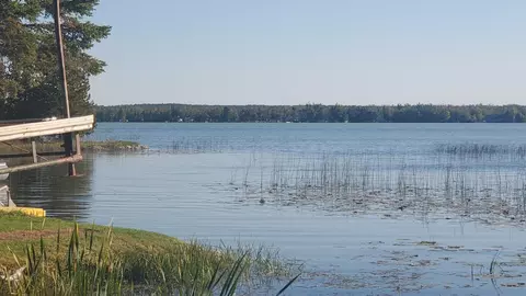 14811 Shubert Hwy, Posen, MI 49776