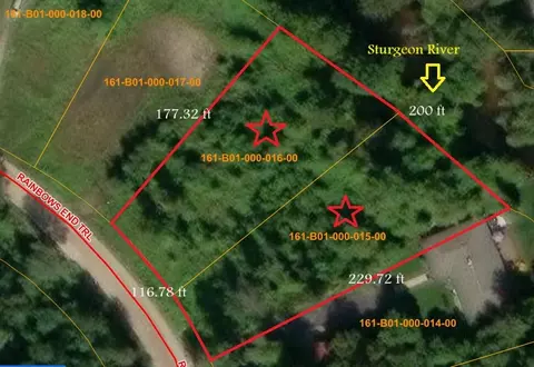 42454237 Rainbows End Trl, Indian River, MI 49749