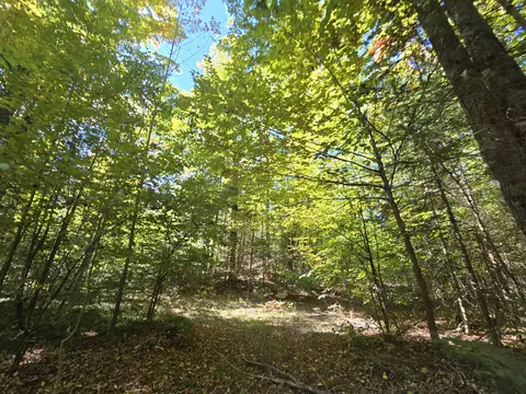 455 E Helmer Lake Rd, Fairview, MI 48621 photo 60