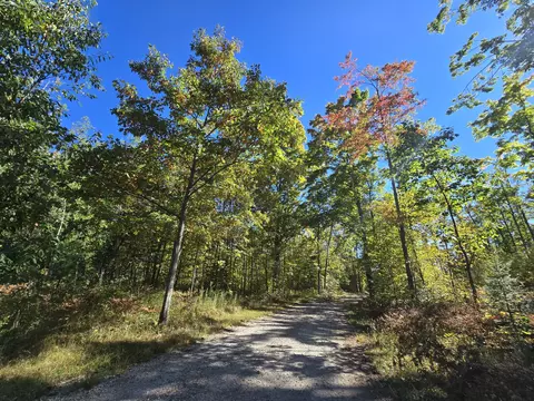 455 E Helmer Lake Rd, Fairview, MI 48621 photo 83