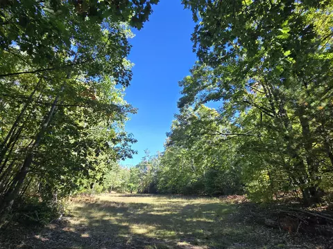 455 E Helmer Lake Rd, Fairview, MI 48621 photo 54
