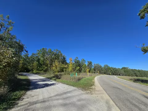 455 E Helmer Lake Rd, Fairview, MI 48621 photo 85
