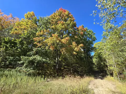455 E Helmer Lake Rd, Fairview, MI 48621 photo 18