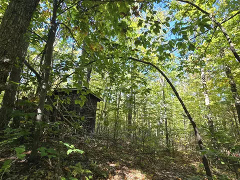 455 E Helmer Lake Rd, Fairview, MI 48621 photo 52