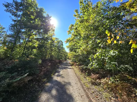 455 E Helmer Lake Rd, Fairview, MI 48621 photo 79