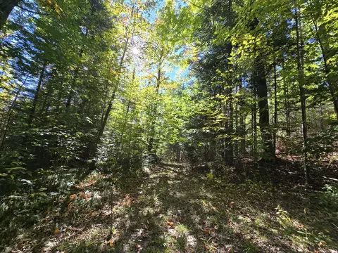 455 E Helmer Lake Rd, Fairview, MI 48621 photo 61
