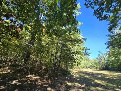 455 E Helmer Lake Rd, Fairview, MI 48621 photo 55