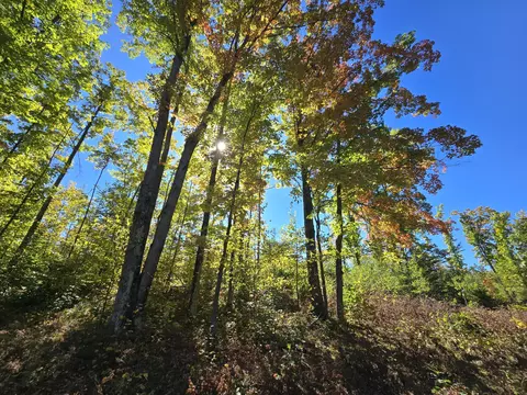 455 E Helmer Lake Rd, Fairview, MI 48621 photo 34