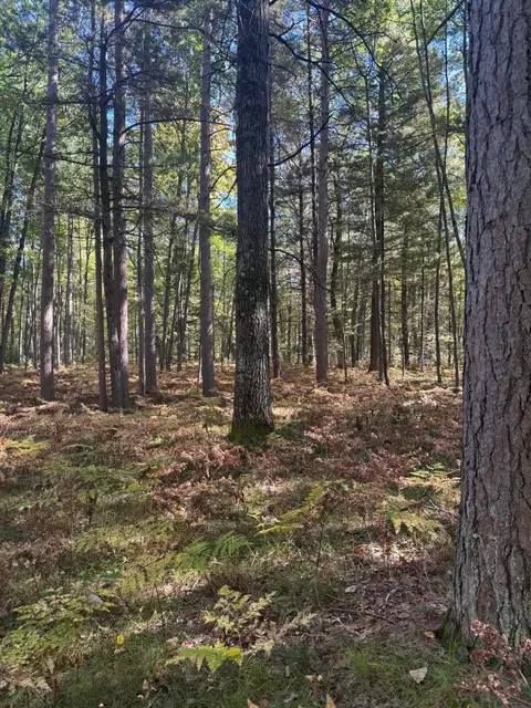 V/l 3.78ac Pheasant Way, Prudenville, MI 48651