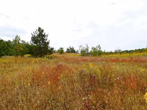V/l 10ac Finnegan Road, Johannesburg, MI 49751