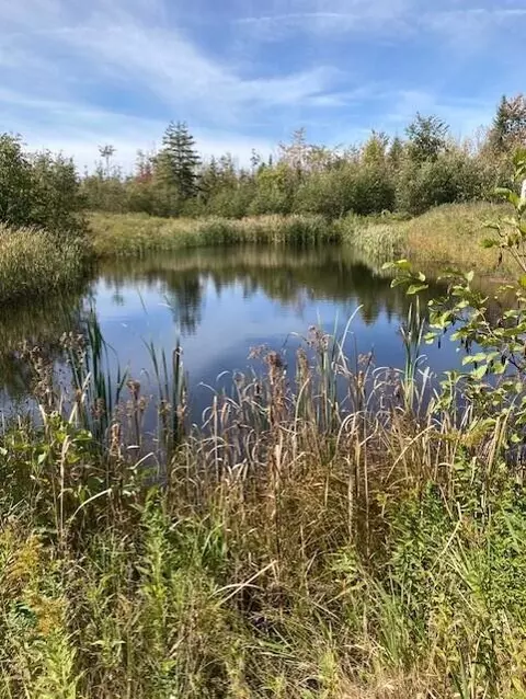 V/L 34AC Co Rd 451 #34 ACRES, Hawks, MI 49743