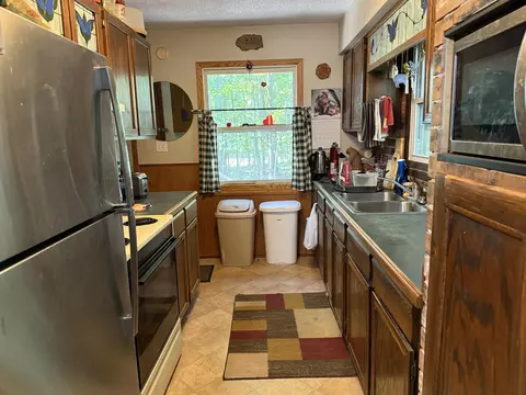 8218 Luce St, Alanson, MI 49706 photo 5