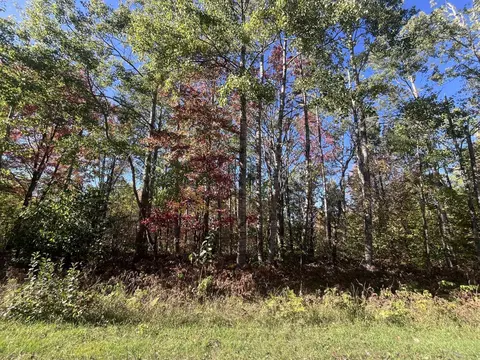 lot123 Wyckerly Dr, Mancelona, MI 49659