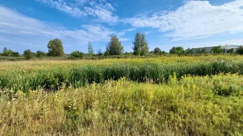 V/l 55-+ac E State Street, Cheboygan, MI 49721
