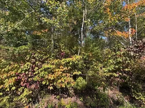 lot353 Bay Heights Dr, Presque Isle, MI 49777