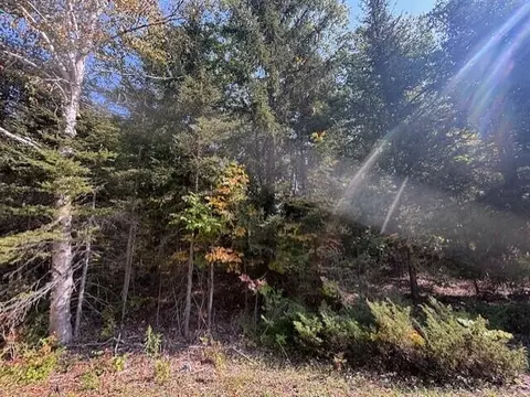 lot258 Belfair Dr, Presque Isle, MI 49777