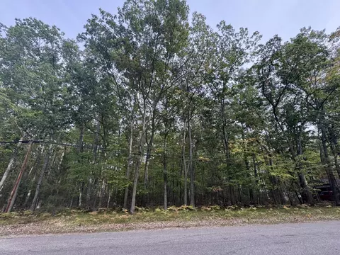 212 Pine Bluffs Rd, Roscommon, MI 48653