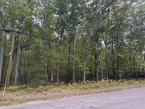212 Pine Bluffs Rd, Roscommon, MI 48653 photo 6