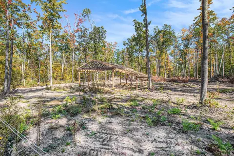 Exterior - 2371 E Mullett Lake Rd, Indian River, MI 49749 photo 7 of 13