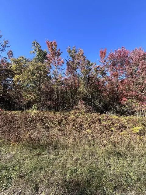lot471 Northgate Dr, Elmira, MI 49730