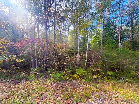 lot181 Northland Heights Dr, Presque Isle, MI 49777